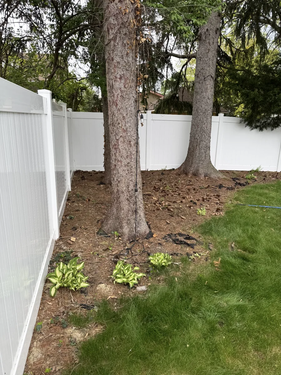 Bare, compacted soil and scattered hostas along the fence line before the renovation in Cherry Hill, New Jersey.